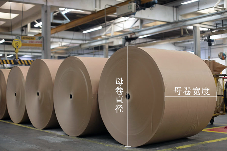 big-paper-jumbo-rolls